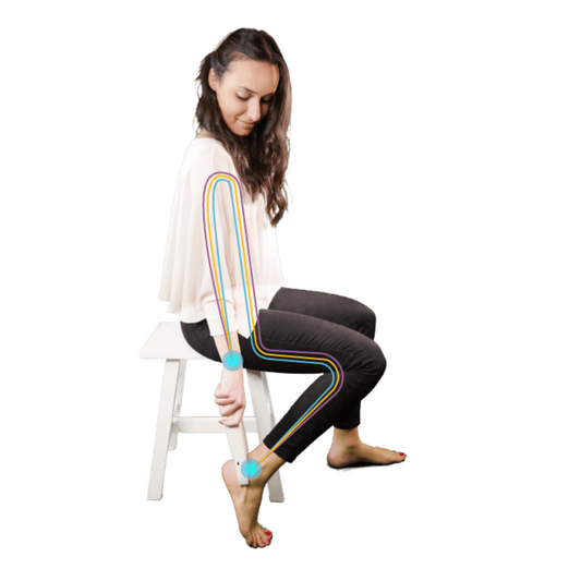 Biody Coach - Bioimpedenziometro